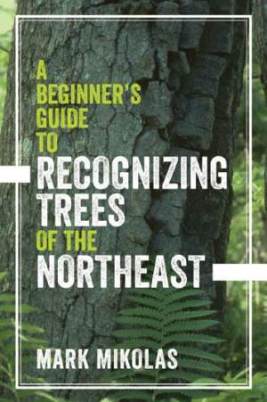 A Beginner’s Guide to Recognizing Trees of the Northeast thumbnail