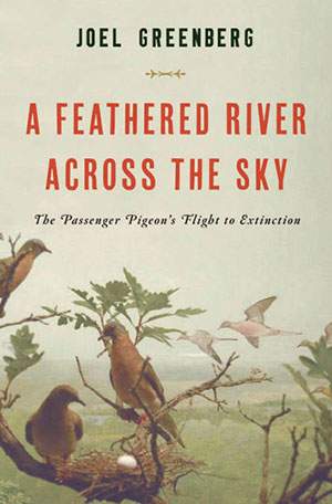A Feathered River Across the Sky: The Passenger Pigeon’s Flight to Extinction thumbnail