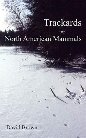 Trackards for North American Mammals (with Companion Guide) thumbnail