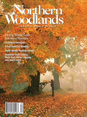 Cover of Autumn 2008