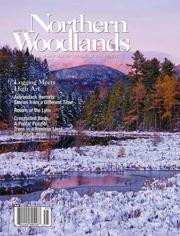 Cover of Winter 2015