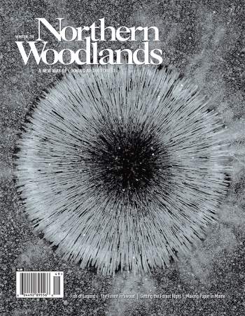 Photo by Erik Hoffner Northern Woodlands magazine winter 2019 cover  by Northern Woodlands