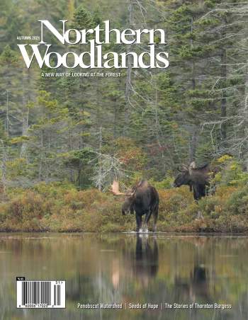 Photo by Roger Irwin Issue 110: Autumn 2021 cover  by Northern Woodlands