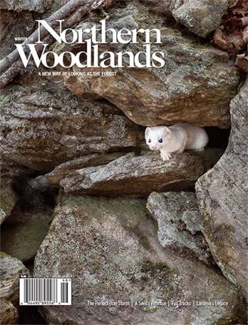 Cover of Winter 2016
