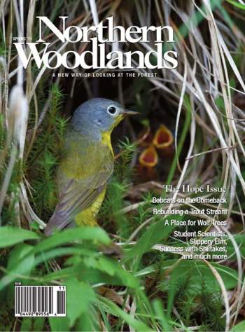 Cover of Spring 2011