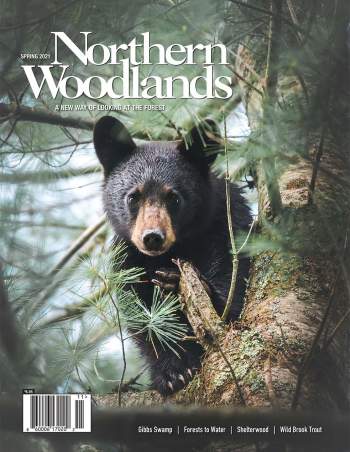Photo by Shaun Terhune Northern Woodlands magazine cover  by Northern Woodlands