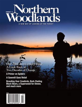 Cover of Summer 2014