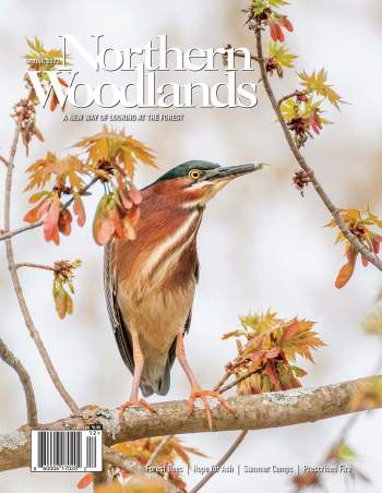 Photo by Jim Block Spring 2022 cover  by Northern Woodlands