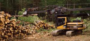 A stroke delimber in a logging yard during a timber harvest, Dartmouth College forest, Second College Grant, NH 
