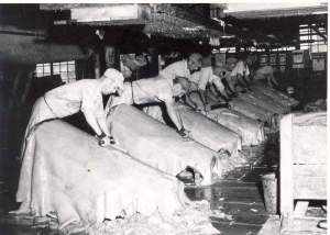 “Beamers” at work fleshing hides in the Wilcox Tanning Company, Wilcox, PA. 