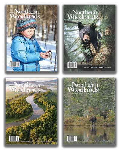Northern Woodlands magazine
