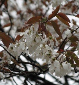 0312.jpg thumbnail