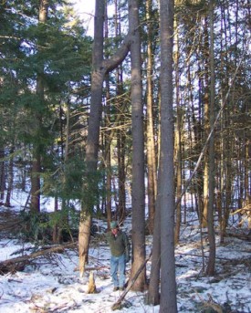100_0800_cropped.jpg thumbnail