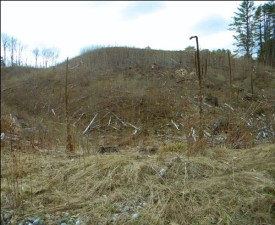 18.jpg thumbnail