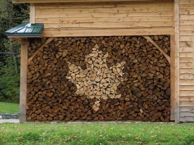 Firewood thumbnail