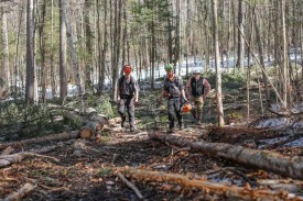 Logging thumbnail