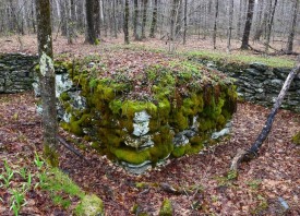 1_stone_records.jpg thumbnail