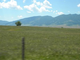 1openingshot.jpg thumbnail
