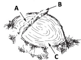 abc_bore_cutting.jpg thumbnail