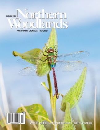 Photo by Sparky Stensaas aut25-cover.jpg cover 