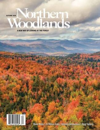 Cover Photo by Tony Colasurdo Autumn 2026 cover  by Northern Woodlands