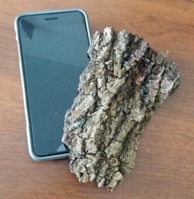 Cell Phone and Bark thumbnail