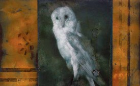 barn_owl.jpg thumbnail