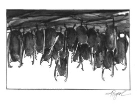 bat_cave.jpg thumbnail