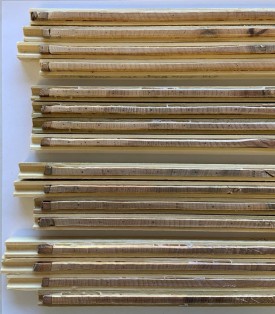 Beech maple cores thumbnail