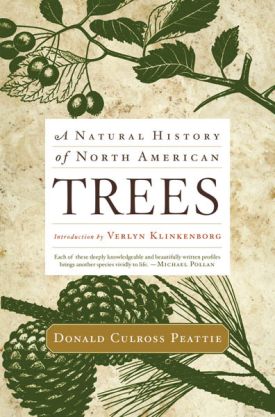 BOOKS_TREES.jpg thumbnail