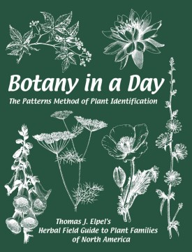 Botany by day thumbnail