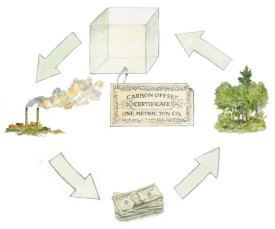 Carbon offsets thumbnail