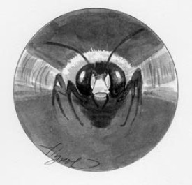 carpenter_bee.jpg thumbnail