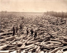 Log drives thumbnail