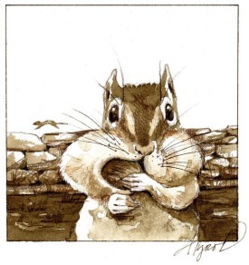 chipmunk_web.jpg thumbnail