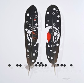 Feathers 2 thumbnail