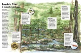 Connected Landscape Infographic thumbnail
