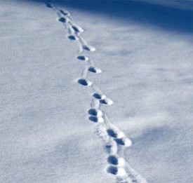 cover2.jpg thumbnail