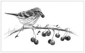 crabapples_web.jpg thumbnail