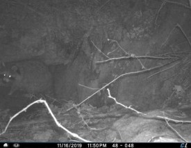 Crevice 1 thumbnail