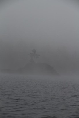 deer_hunting_adk_web.jpg thumbnail