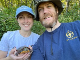 Turtle release thumbnail