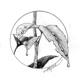 Drip_tip.jpg thumbnail