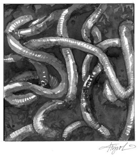 earthworms_web.jpg thumbnail