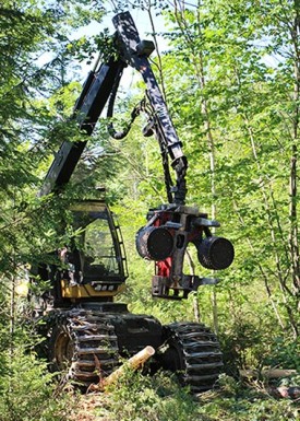 elise_blog_aug21_web1.jpg thumbnail