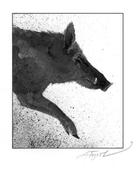 Feral_swine.jpg thumbnail