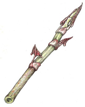 Foraging-Ben-Levitt-fallopia-japonica.jpg thumbnail