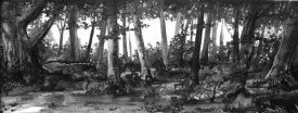 Forest_biomass.jpg thumbnail