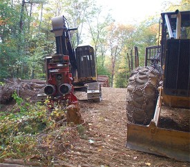 forestland_timeshare_1.jpg thumbnail