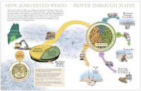 Wood flow thumbnail